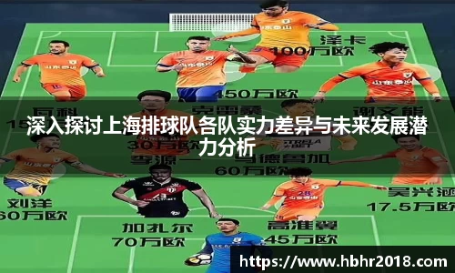 深入探讨上海排球队各队实力差异与未来发展潜力分析